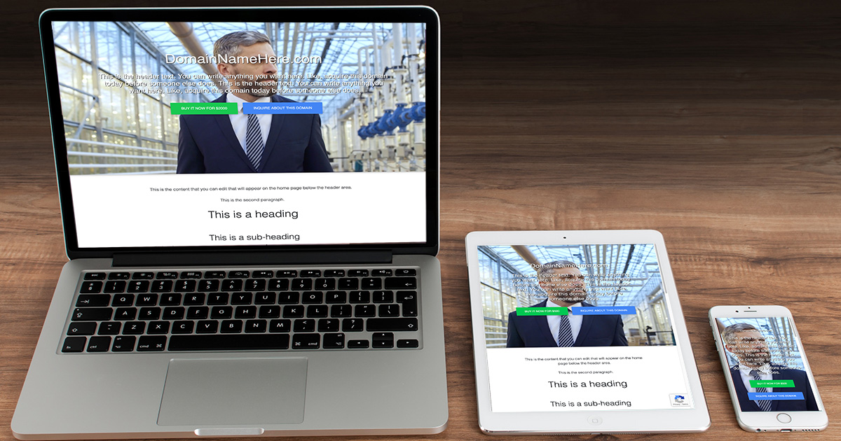 MegaLander responsive domain sales landers